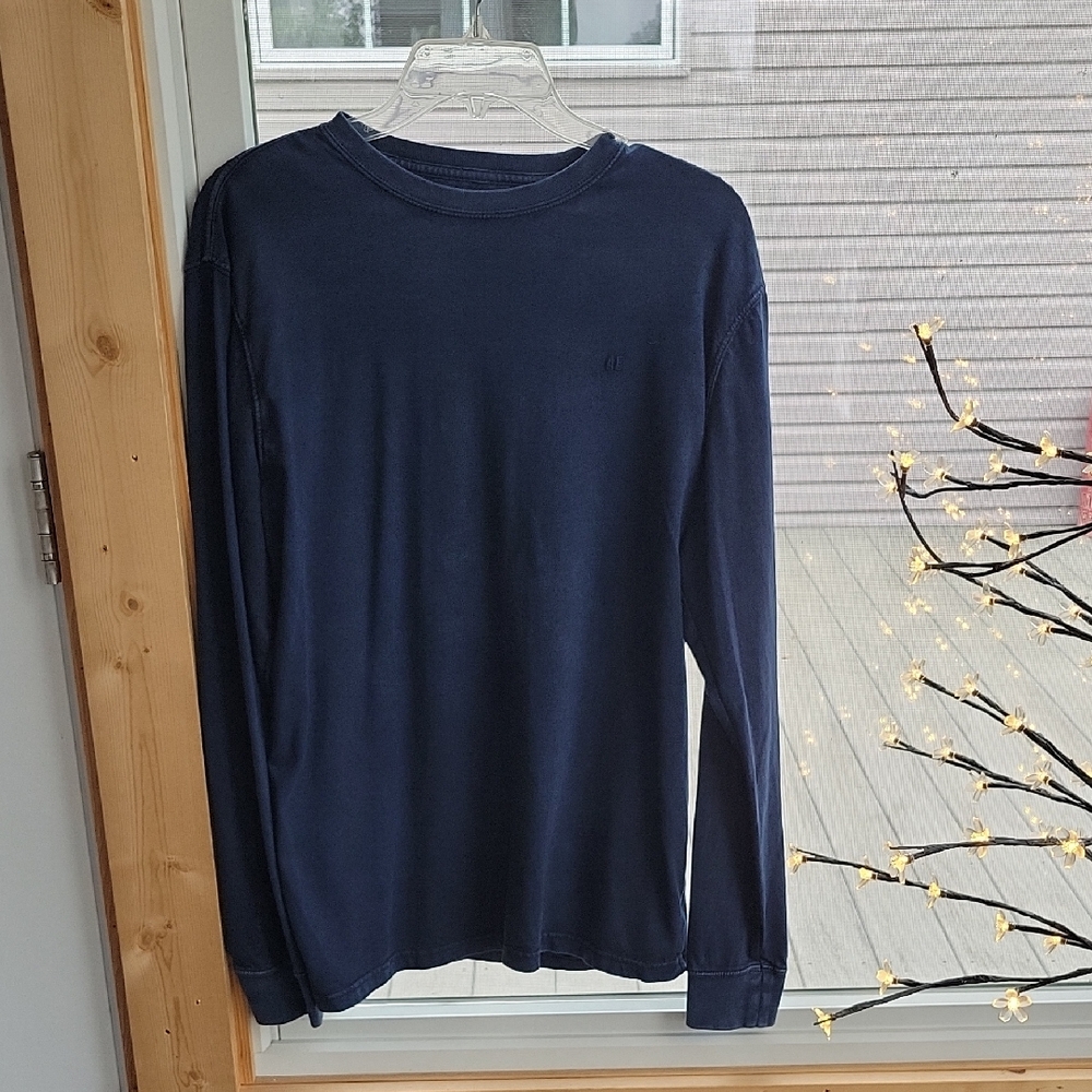 American Eagle Outfitters Blue Long Sleeve Tee